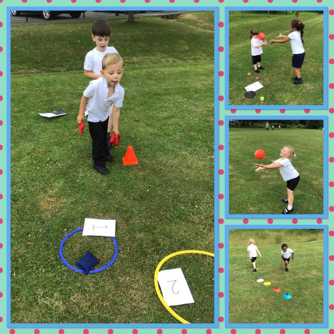 Inter-class Willow Multi-Skills